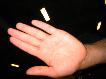 102_0239.JPG